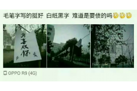 讨债不还的法律法规：全面解析与案例分析