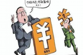 淄博女律师讨债：法律武器助力债权维护