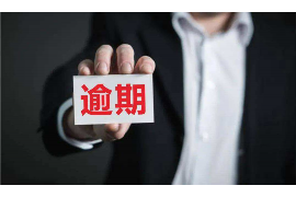反催收斗智斗勇：揭秘债务催收背后的博弈