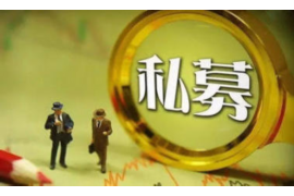 支付宝催收上门南京：揭秘现代金融催收新动向