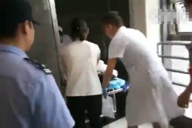 长寿清数公司：揭秘数据驱动的长寿之道
