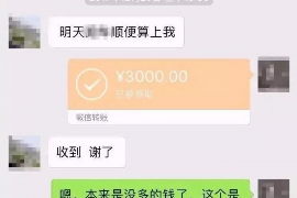 中国哪个催收公司最大？揭秘行业巨头及其业务模式